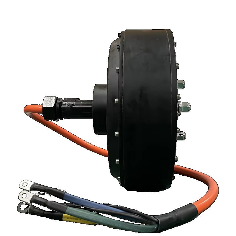 Dual QS 273 8000W 72V Elektroa – Qs Motor 273 8000W Hub Motor Bewertung und Preis