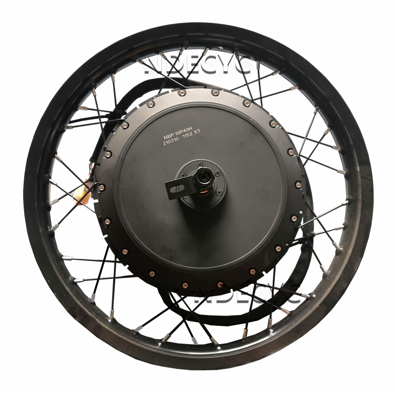 NBpower/QS V3 273 40H Motorrad – Qs Motor 273 8000W Hub Motor Bewertung und Preis